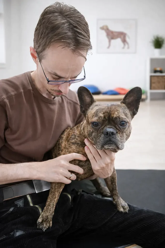 KM_Info_EG-Franchie_800x1200 Therapeut hält französische Bulldogge