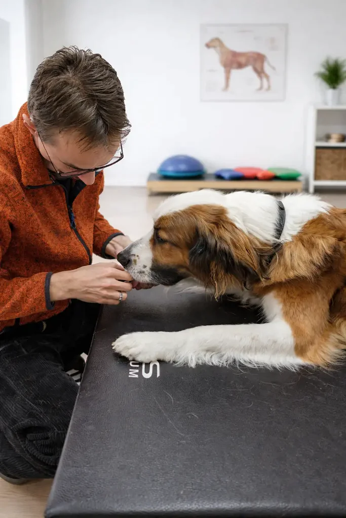 KM_Info_EG_Jack_800x1200 Therapeut beruhigt Hund